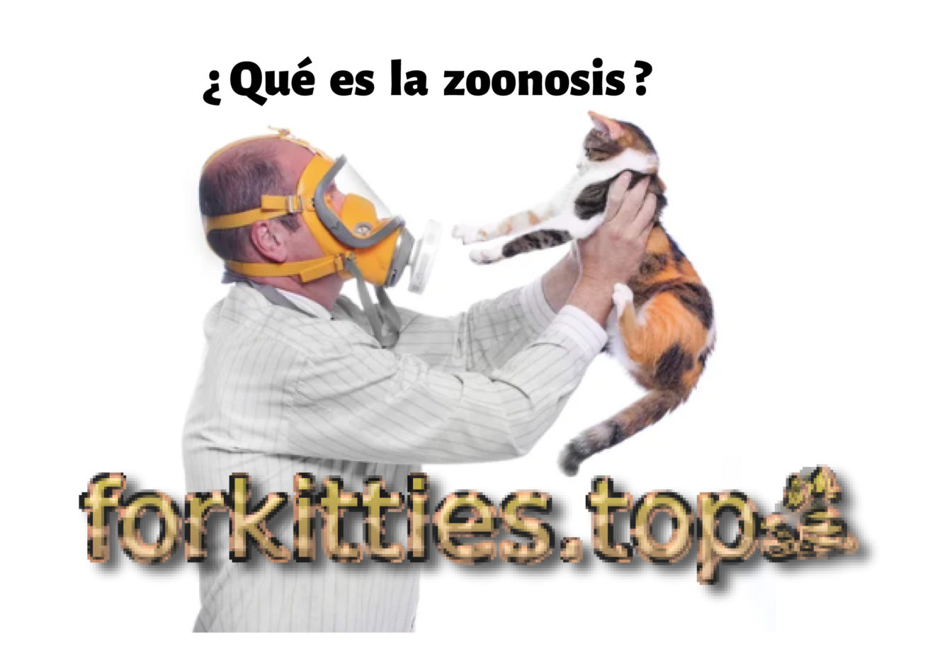 ¿ Qué es la zoonosis ? - Forkitties.top