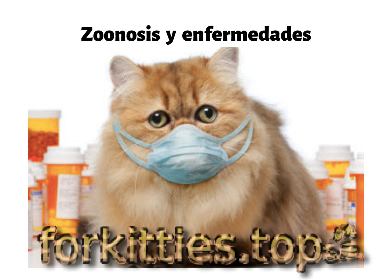 ¿ Qué es la zoonosis ? - Forkitties.top